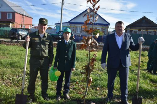 В Кайбицах заложили дубовую аллею в память о заслуженном лесоводе