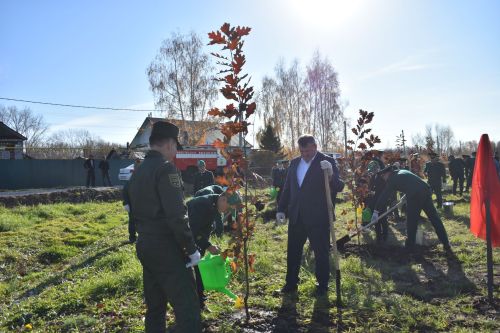 В Кайбицах заложили дубовую аллею в память о заслуженном лесоводе