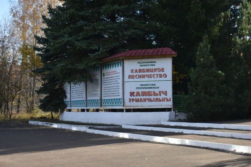 Мемориальный уголок памяти заслуженного лесовода открыли в Кайбицком районе