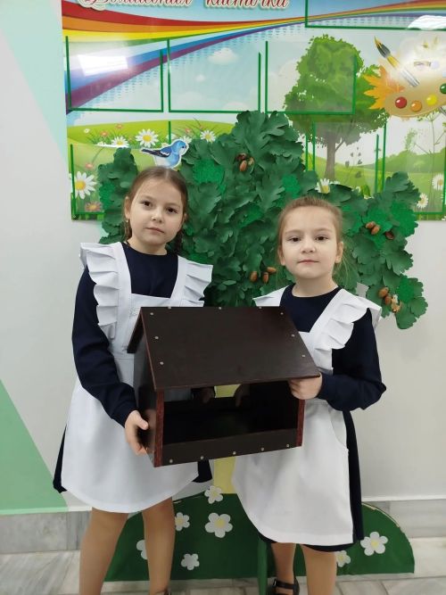 Доброе дело объединяет: ученики Старотябердинской школы изготовили уникальные кормушки для птиц