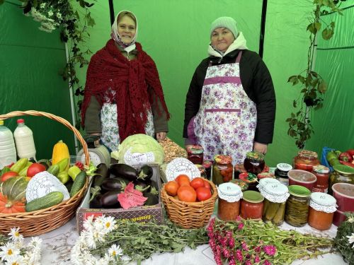 В Кайбицах с размахом прошла традиционная ярмарка, посвящённая Международному дню пожилых людей