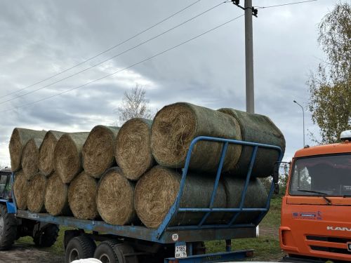 В Кайбицах с размахом прошла традиционная ярмарка, посвящённая Международному дню пожилых людей