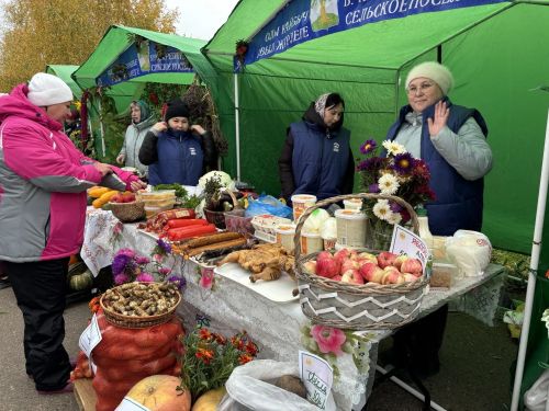 В Кайбицах с размахом прошла традиционная ярмарка, посвящённая Международному дню пожилых людей