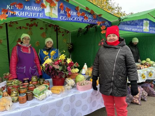 В Кайбицах с размахом прошла традиционная ярмарка, посвящённая Международному дню пожилых людей