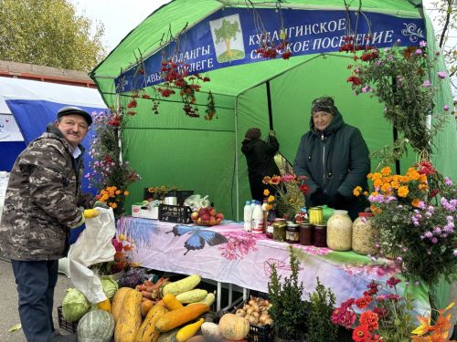 В Кайбицах с размахом прошла традиционная ярмарка, посвящённая Международному дню пожилых людей