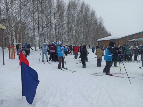 «Лыжня России»: заряд бодрости в зимнем парке Кайбиц