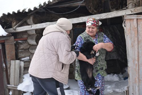 В Кайбицком районе продолжается работа по чипированию собак