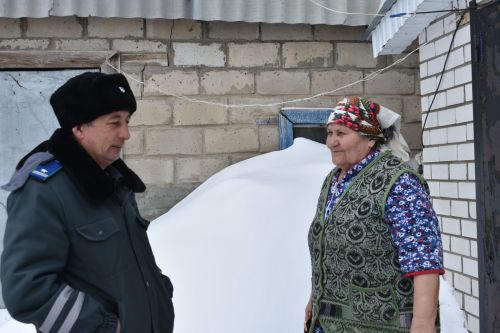 В Кайбицком районе продолжается работа по чипированию собак
