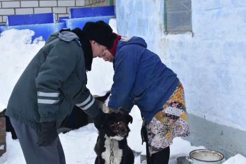В Кайбицком районе продолжается работа по чипированию собак