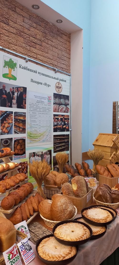 Состоялось девятое заседание Совета Кайбицкого района