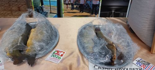 Состоялось девятое заседание Совета Кайбицкого района