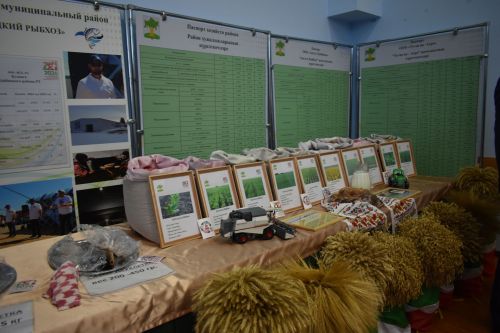 Состоялось девятое заседание Совета Кайбицкого района