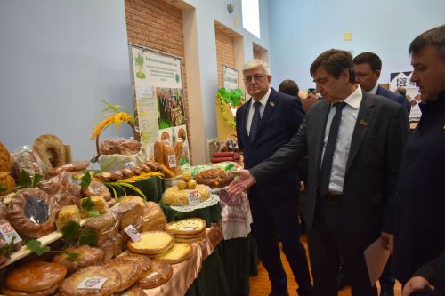 Состоялось девятое заседание Совета Кайбицкого района
