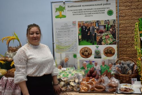 Состоялось девятое заседание Совета Кайбицкого района