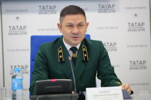 За пять лет в Татарстане выплаты получили 39 молодых специалистов лесной отрасли