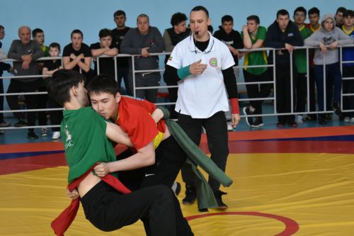 В Кайбицком районе прошли соревнования по борьбе, посвященные памяти Героя России