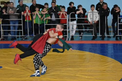 В Кайбицком районе прошли соревнования по борьбе, посвященные памяти Героя России