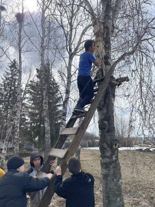 Уютное новоселье: ученики Большекайбицкой школы позаботились о пернатых соседях