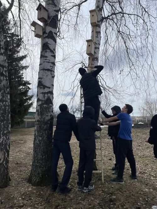 Уютное новоселье: ученики Большекайбицкой школы позаботились о пернатых соседях