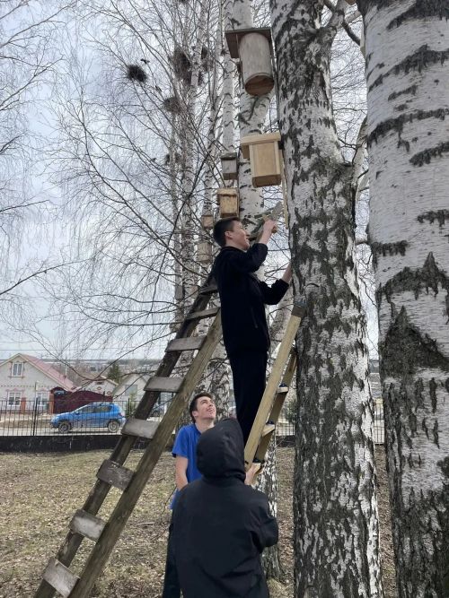 Уютное новоселье: ученики Большекайбицкой школы позаботились о пернатых соседях