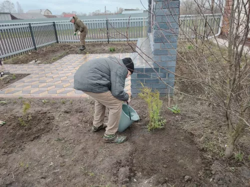 Работники культуры Кушкульского клуба высадили молодые туи рядом с мемориалом участникам Великой Отечественной войны