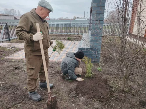 Работники культуры Кушкульского клуба высадили молодые туи рядом с мемориалом участникам Великой Отечественной войны
