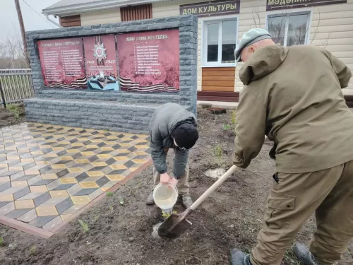 Работники культуры Кушкульского клуба высадили молодые туи рядом с мемориалом участникам Великой Отечественной войны
