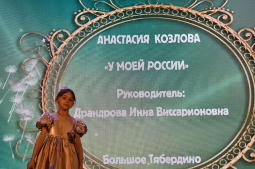 В Кайбицах состоялся гала-концерт фестиваля «Созвездие»