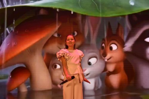 В Кайбицах состоялся гала-концерт фестиваля «Созвездие»