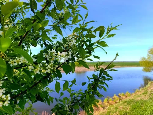 Татарстанда бүген яңгыр, яшен һәм +24 градуска кадәр җылы көтелә