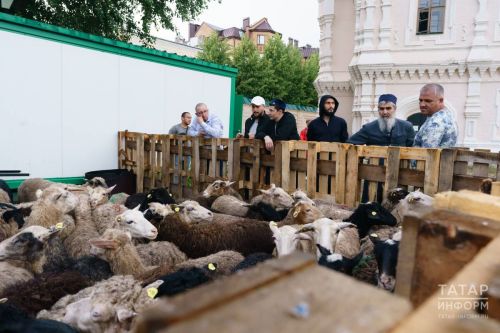 Курбан-байрам: обязательно ли лично присутствовать при жертвоприношении