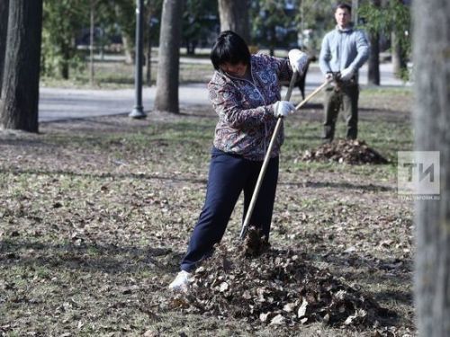 340 тысяч татарстанцев приняли участие в санитарно-экологическом двухмесячнике в поддержку нацпроекта «Экологическое благополучие»