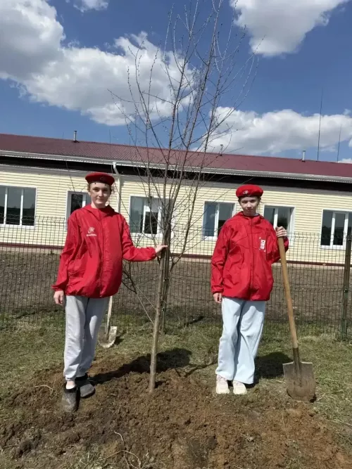 В Хозесановской школе прошла акция «Сад памяти»