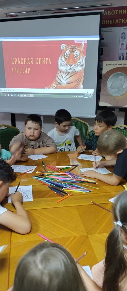 Драгоценный мир живой природы: в Музее Кайбицкого края прошел особенный урок для детей
