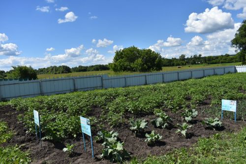 Кайбыч районы башлыгы мәктәпләр, балалар бакчаларына нинди ремонт кирәклеген урыннарга барып ачыклый