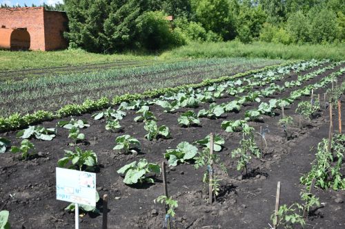 Кайбыч районы башлыгы мәктәпләр, балалар бакчаларына нинди ремонт кирәклеген урыннарга барып ачыклый