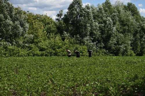 Кайбыч районы башлыгы мәктәпләр, балалар бакчаларына нинди ремонт кирәклеген урыннарга барып ачыклый