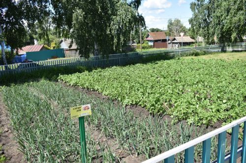 Кайбыч районы башлыгы мәктәпләр, балалар бакчаларына нинди ремонт кирәклеген урыннарга барып ачыклый