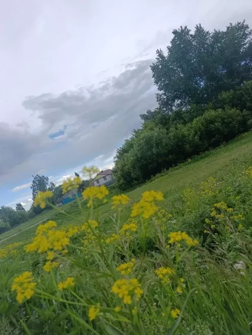 В Татарстане сохранятся грозы и кратковременные дожди, но потеплеет до +23
