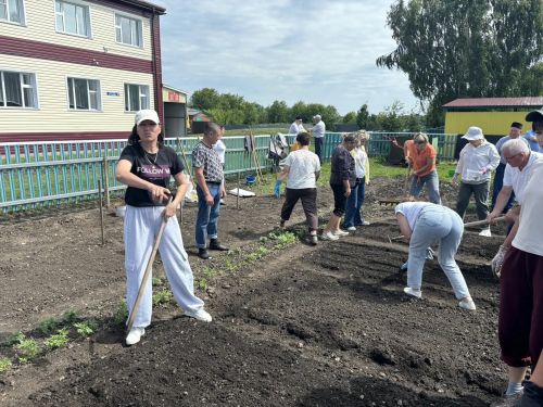 Кандидат сельскохозяйственных наук Харис Камалеев провел в Кайбицком районе мастер-класс по посадке и выращиванию овощных культур