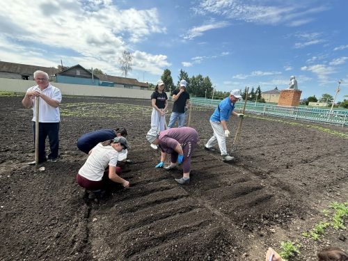 Кандидат сельскохозяйственных наук Харис Камалеев провел в Кайбицком районе мастер-класс по посадке и выращиванию овощных культур