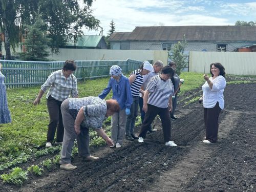 Кандидат сельскохозяйственных наук Харис Камалеев провел в Кайбицком районе мастер-класс по посадке и выращиванию овощных культур
