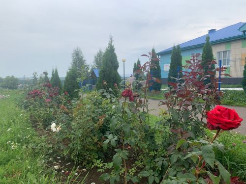 Кошман мәктәбе бакчасы — чәчәкләр кочагында!