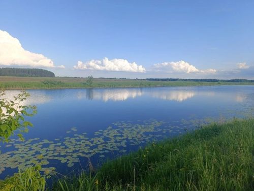 В Татарстане 3 августа ожидаются дожди, грозы и до 30 градусов тепла