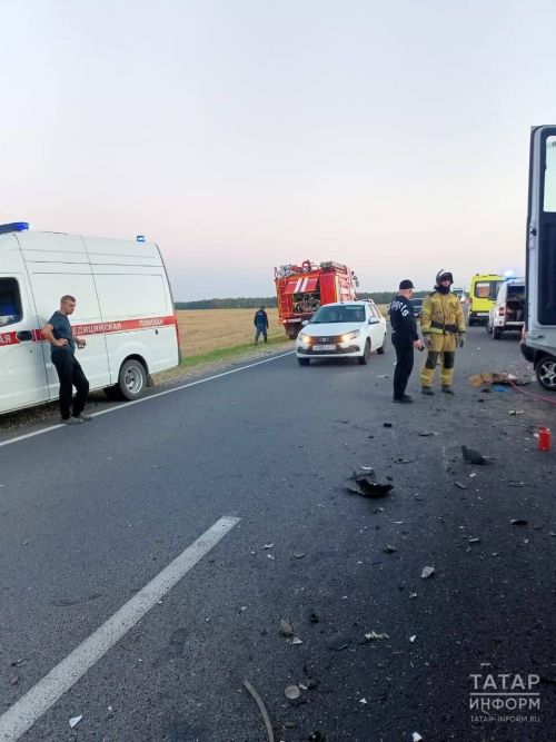 Водитель «Лады» погиб, влетев под прицеп на трассе в Сабинском районе РТ
