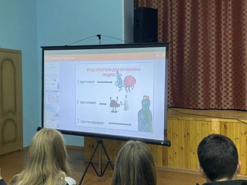 Трезвый выбор: в Большеподберезинском доме культуры обсудили вредные привычки