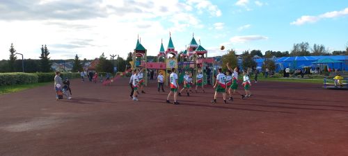 В обновленном парке Больших Кайбиц прошел фестиваль труда и доблести