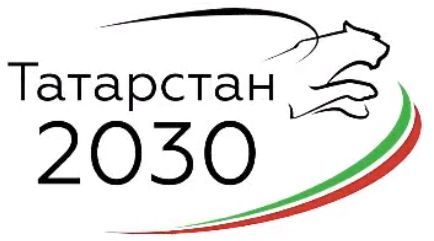 Кайбичане могут внести инициативу в «Стратегию-2030 Республики Татарстан»