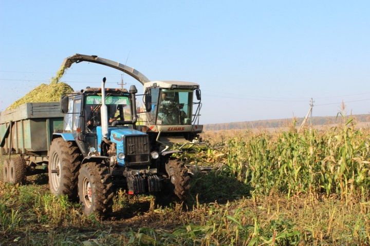 В хозяйствах Кайбицкого  района продолжаются полевые работы