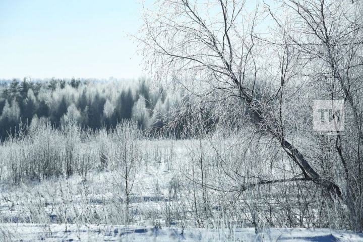 В Татарстане ожидается 19-градусный мороз